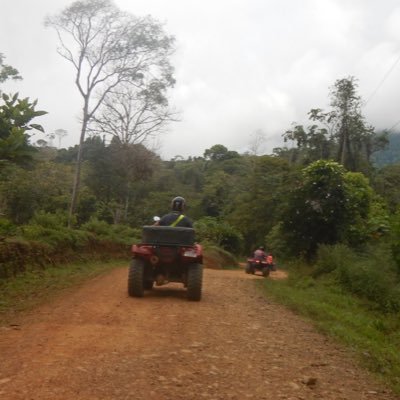 m_gordon99's profile picture. 