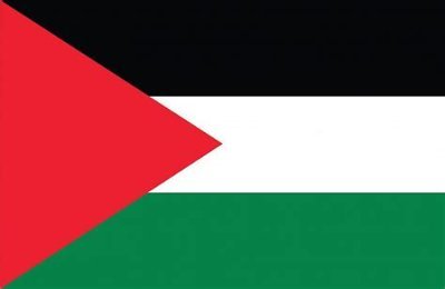 Seeking Social Justice! Free Palestine!