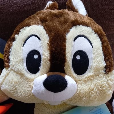 shu_chip_n_dale's profile picture. オグリのJCから競馬歴36年/POGは1997年から28年/特技はガミ馬券(TдT)
アコースティック握れないコード多々あり🎸無言フォローいいね失礼します☺️
競馬音楽お笑いが好きです🎵