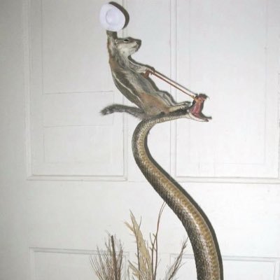 𝕁 𝕖 𝕗 𝕗 𝕖 Don Kasjo W Zadne Pozwy Nie Bede Sie Bawil Bedziemy Sie Napierdalac