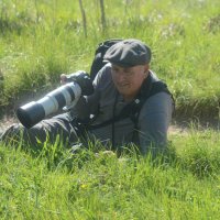 Mark Eggleton (@radareggleton) 's Twitter Profile
