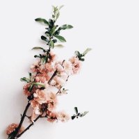 Tawar Hati (@_tawarhati_) 's Twitter Profile