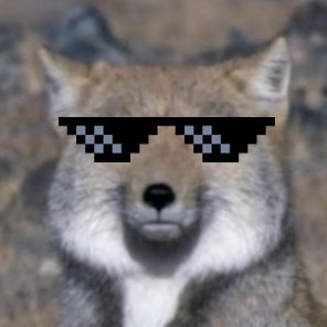 @llllsooooo