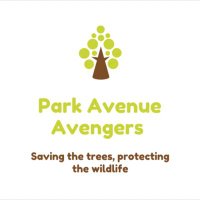 Park Avenue Avengers π³πΏπ¦π¦ππ¦ (@parkaveavengers) 's Twitter Profile Photo Park Avenue Avengers π³πΏπ¦π¦ππ¦ (@parkaveavengers) 's Twitter Profile Photo