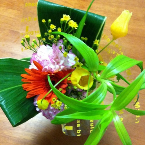 hapiko801's profile picture. 