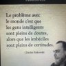 mehdilyon00's profile picture. philosophe forain, C A P de psychologie et taxi driver