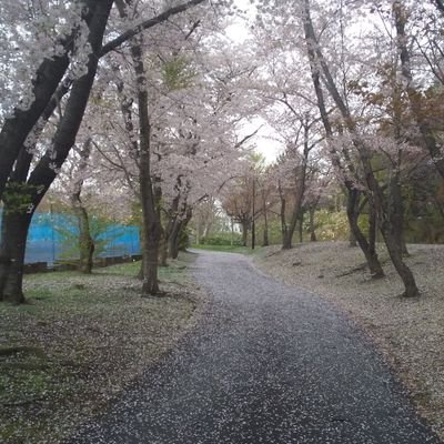 tsnrymmt's profile picture. 