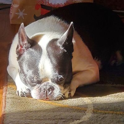 sirglogg's profile picture. #amcstrong