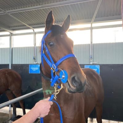 jdh089's profile picture. 