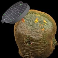 Brain Stimulation and Cognition Laboratory (@sack_bsclab) 's Twitter Profile