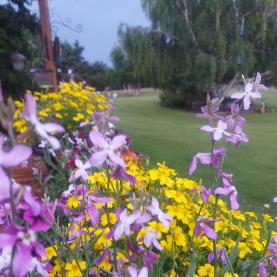 OkayToStruggle's profile picture. Not everything that is faced 
can be changed, but nothing 
can be changed until it is faced. 
James Baldwin