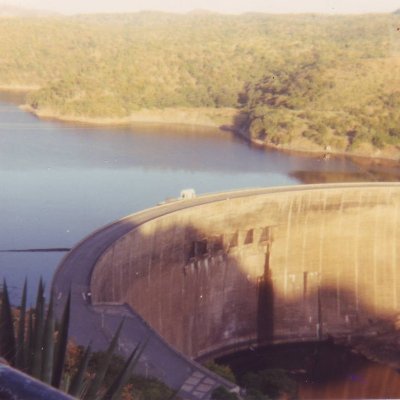 TrishC44618555's profile picture. 