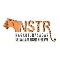 Nagarjunasagar Srisailam Tiger Reserve(@nstr_tiger) 's Twitter Profileg