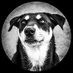 V1G1L4NT3 (@a_v1g1l4nt3) Twitter profile photo V1G1L4NT3 (@a_v1g1l4nt3) Twitter profile photo
