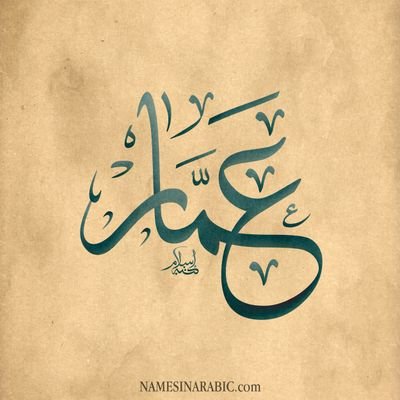 عمار المالكي