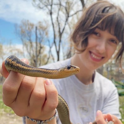 disturbance ecology & conservation | PhD student @queensu 🐍 | MSc @McGillU 🐸 2023 | #HERper | don’t fear, respect | she/her