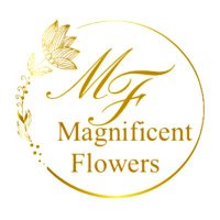 Magnificent Flowers(@M_flowersza) 's Twitter Profile Photo