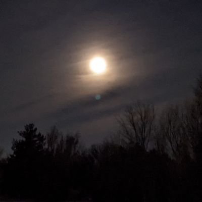 JohnathanMR14's profile picture. yup