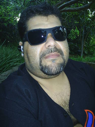 Sou um Urso em busca de um Chaser