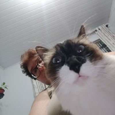 AnaPaulaRusinas's profile picture. 