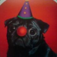 He. International Dog Retweeter