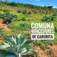 comuna.vencedorxsdecarorita(@comunvencedorxs) 's Twitter Profile Photo
