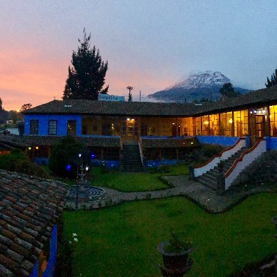 Antonio Gayon Profile