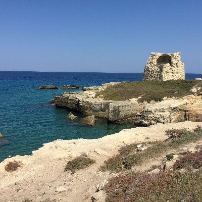 Vincent_2101's profile picture. 