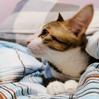 jacky cheng (@weweod) Twitter profile photo