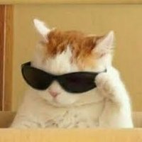 boshesap (@wlslslslslsl) 's Twitter Profile