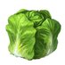 BlockLettuce (@blocklettuce) Twitter profile photo BlockLettuce (@blocklettuce) Twitter profile photo