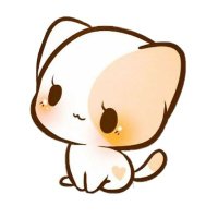 SafeCate (@catesafe) 's Twitter Profile