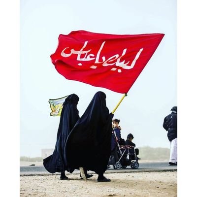 آنان که حسین را خدا پندارند
کفرش به کنار
عجب خدایی دارند ....♡