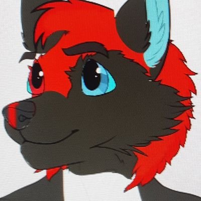 He/him|23|straight| Just another crazy wolf that loves music and being a pyro ♡420 ♡rave 18+