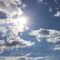 或る。 (@monoassault) 's Twitter Profile