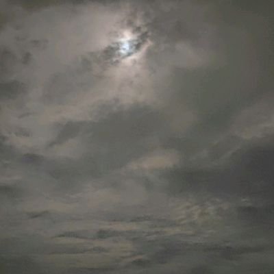 Thanuragav's profile picture. A common young man discovering what life is. spread love🤍