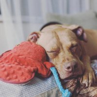jessica rose (@kevingab6) 's Twitter Profile