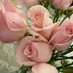 Fatima Alrowili د.فاطمة الرويلي (@alrowilifatimah) Twitter profile photo Fatima Alrowili د.فاطمة الرويلي (@alrowilifatimah) Twitter profile photo