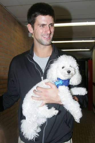 Wiggling my tail on the dog-walk, sometimes accompanied by Novak.