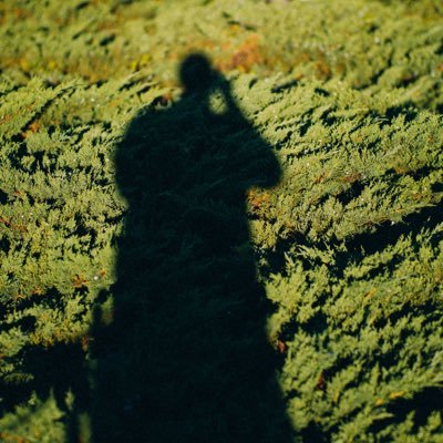 jwwalters1's profile picture. 🤷‍♂️