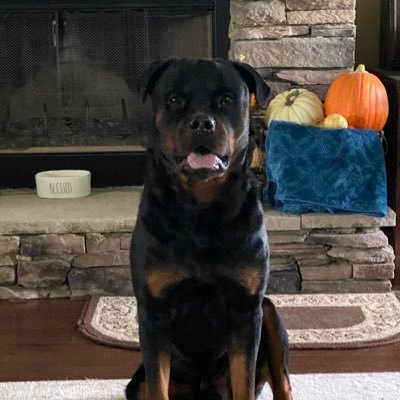 JayDubyah78's profile picture. Got to be outdoors. Dora, AL War Damn Eagle