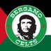 Bergamo Celts 🇮🇪🇵🇸 (@BergamoCelts) Twitter profile photo