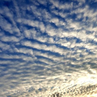 Sarah_Enn_'s profile picture. 