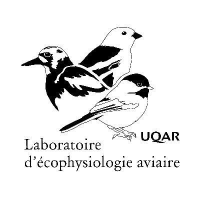 VezinaLab's profile picture. 