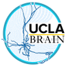 UCLABRAIN's profile picture. Dr. @HONGWEIDONG6ai directs the multimodal, multiscale connectome and cell-type map of the mammalian brain through tracing, imaging, and computational methods.