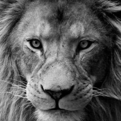 Jofireffd's profile picture. 