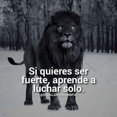 cuero_niev's profile picture. My buen humoe