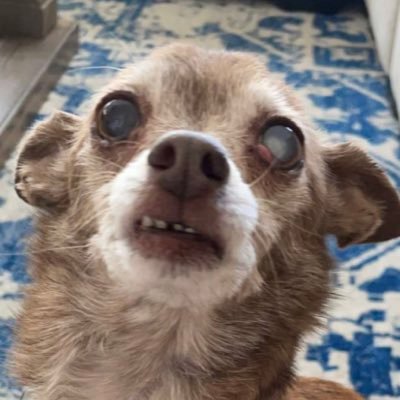 _cointoss_'s profile picture. cool