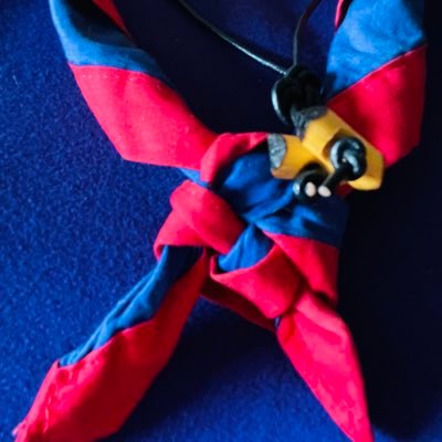 kimmclachlan1's profile picture. 