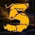 Big 5 Esports 🦁 (@big5esports) Twitter profile photo Big 5 Esports 🦁 (@big5esports) Twitter profile photo